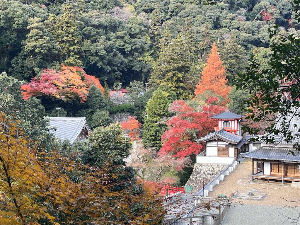 f:id:m3785com:20241213185002j:image