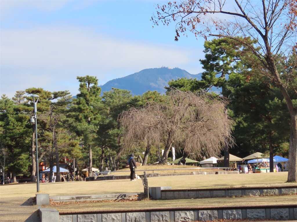 f:id:m3785com:20250101131054j:image
