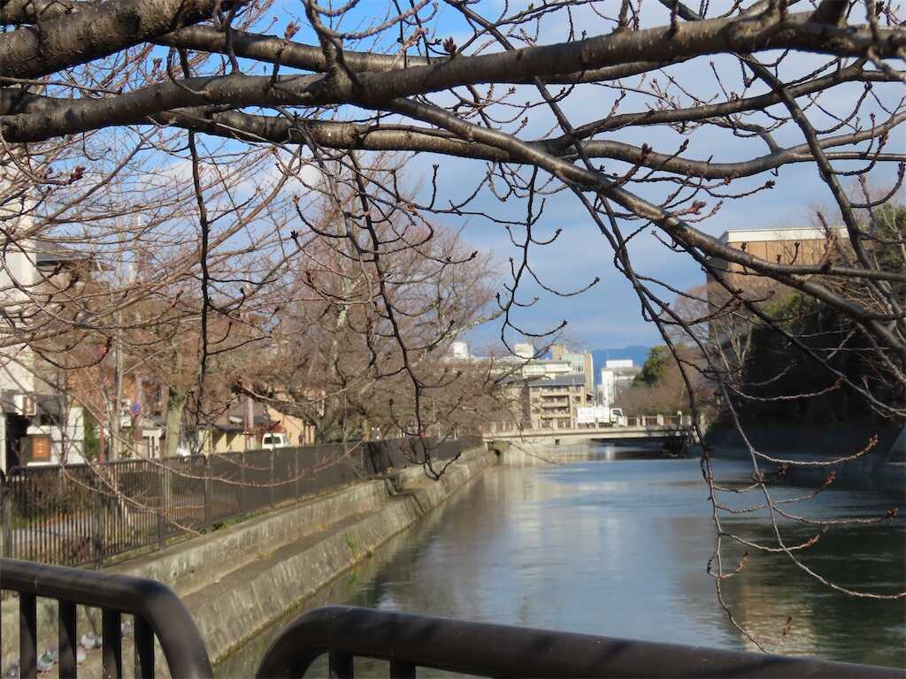 f:id:m3785com:20250101131108j:image