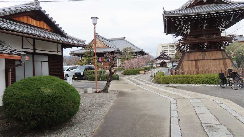 f:id:m3785com:20250209100243j:image