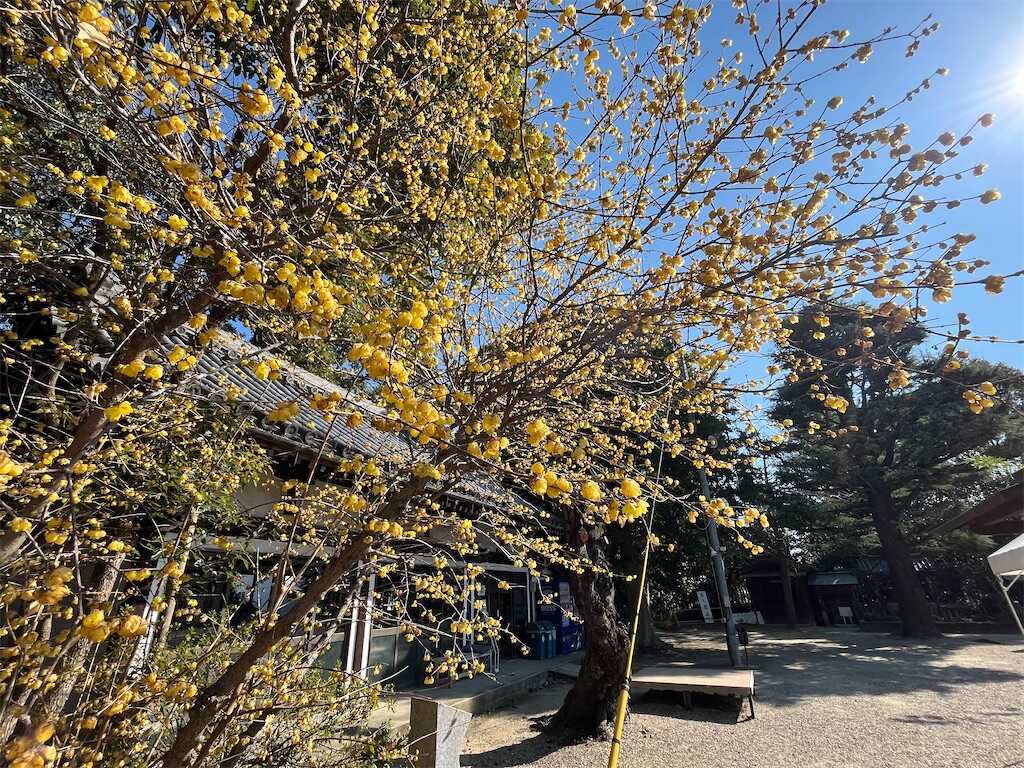 f:id:m3785com:20250224182545j:image