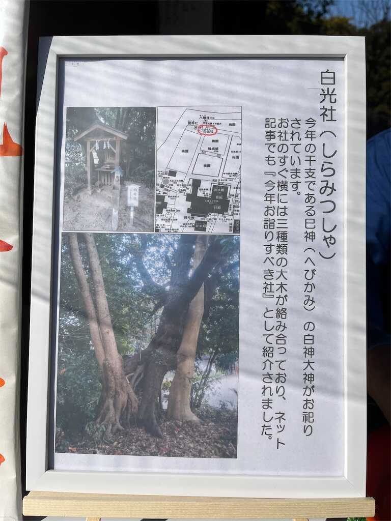 f:id:m3785com:20250224182911j:image