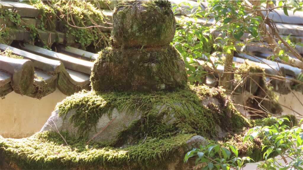 f:id:m3785com:20250303190316j:image