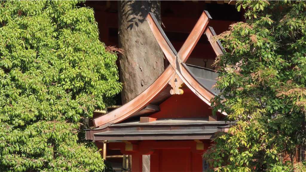 f:id:m3785com:20250303190324j:image