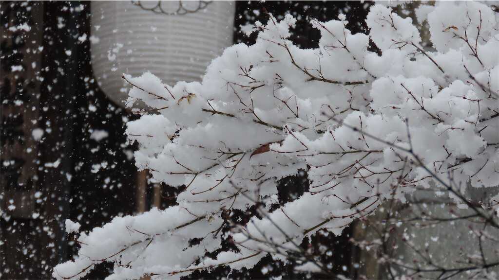 f:id:m3785com:20250304185750j:image
