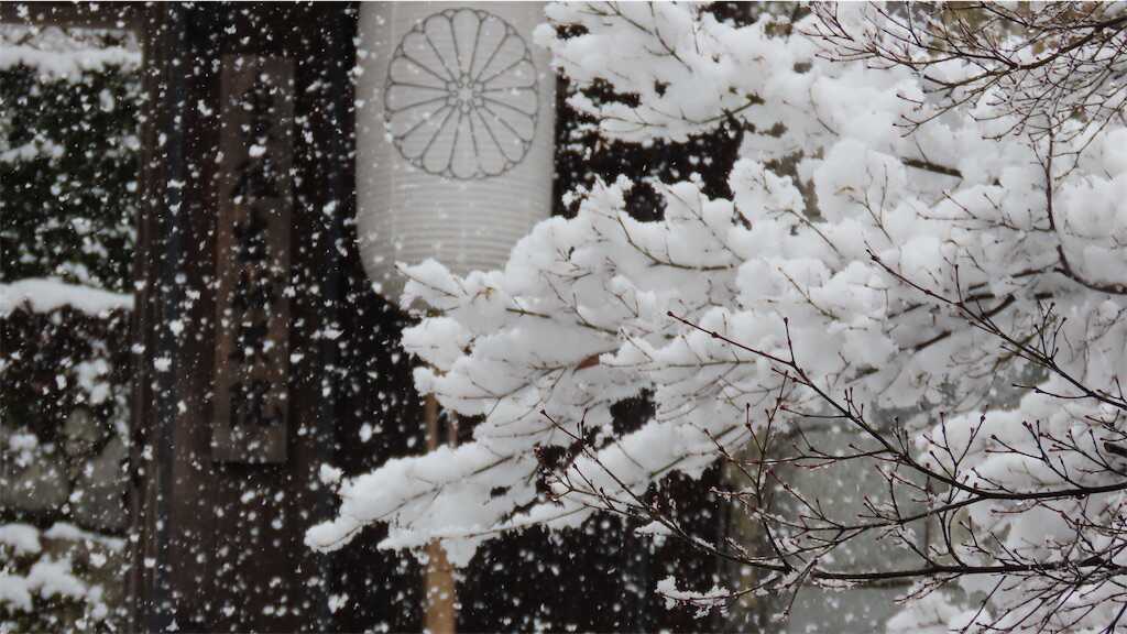f:id:m3785com:20250304185757j:image