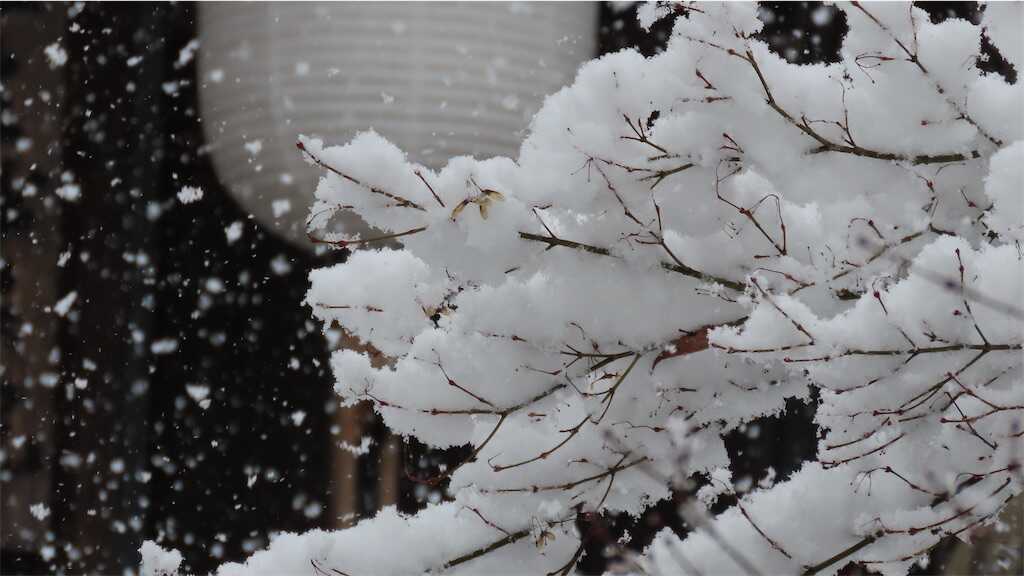f:id:m3785com:20250304185804j:image