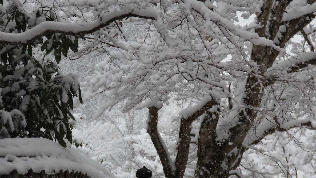 f:id:m3785com:20250304185956j:image