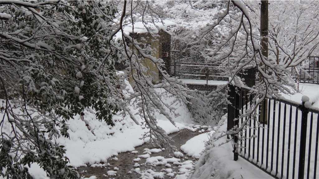 f:id:m3785com:20250304190352j:image