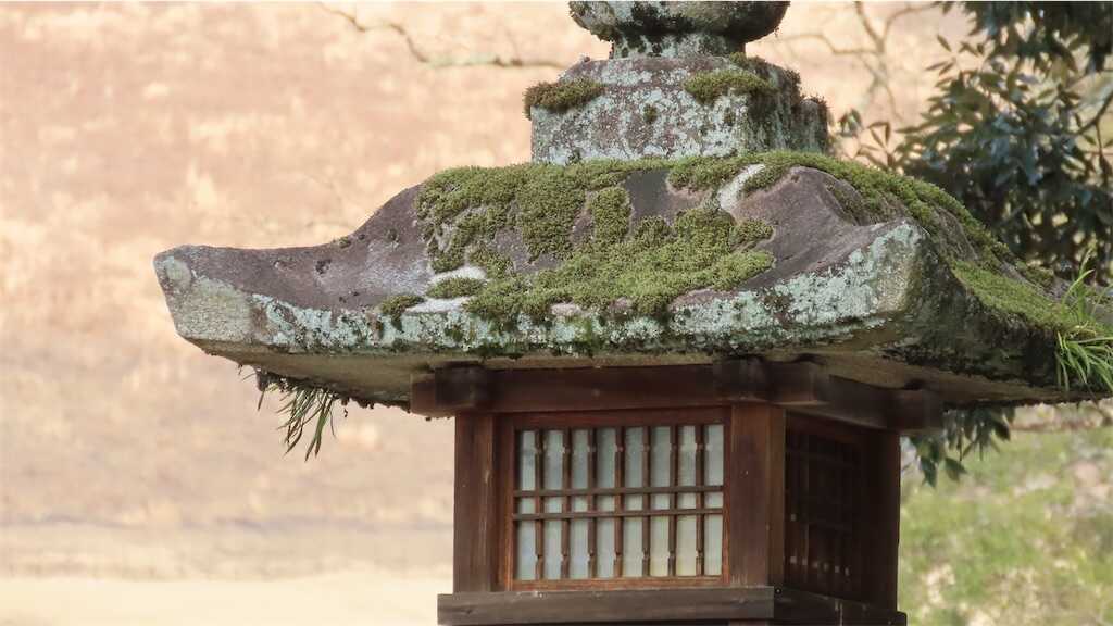 f:id:m3785com:20250305182019j:image