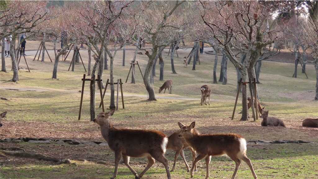 f:id:m3785com:20250305182545j:image