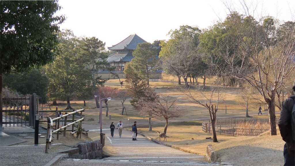f:id:m3785com:20250305185205j:image