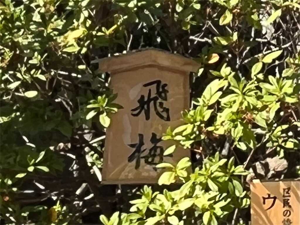 f:id:m3785com:20250310184238j:image