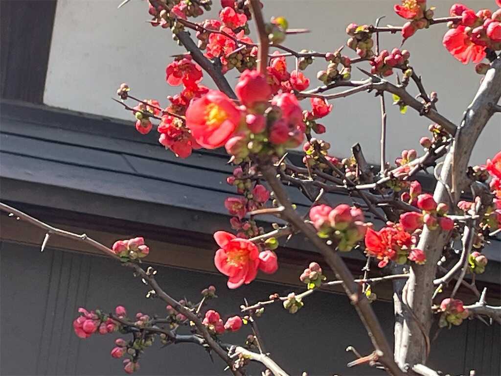 f:id:m3785com:20250320124219j:image