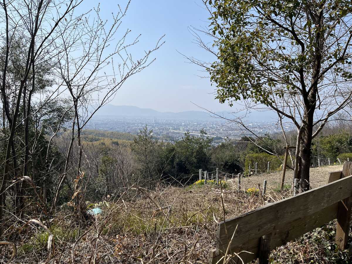 大岩山展望所