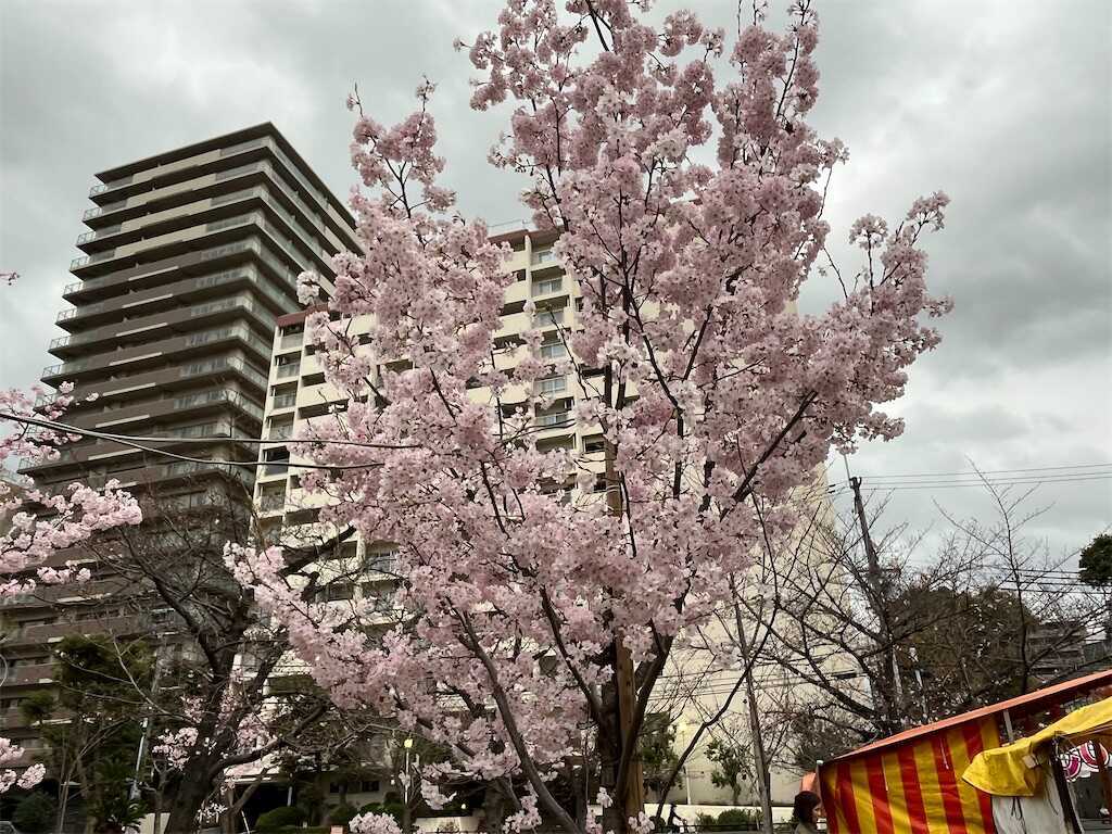 f:id:m3785com:20250327185259j:image