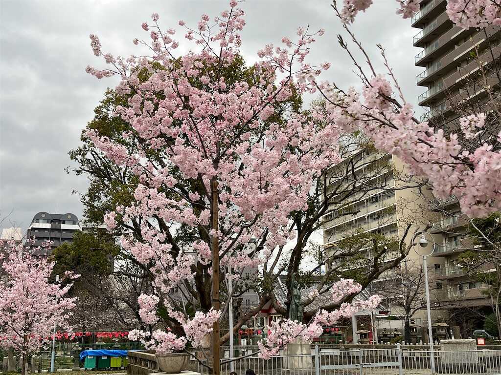 f:id:m3785com:20250327185315j:image