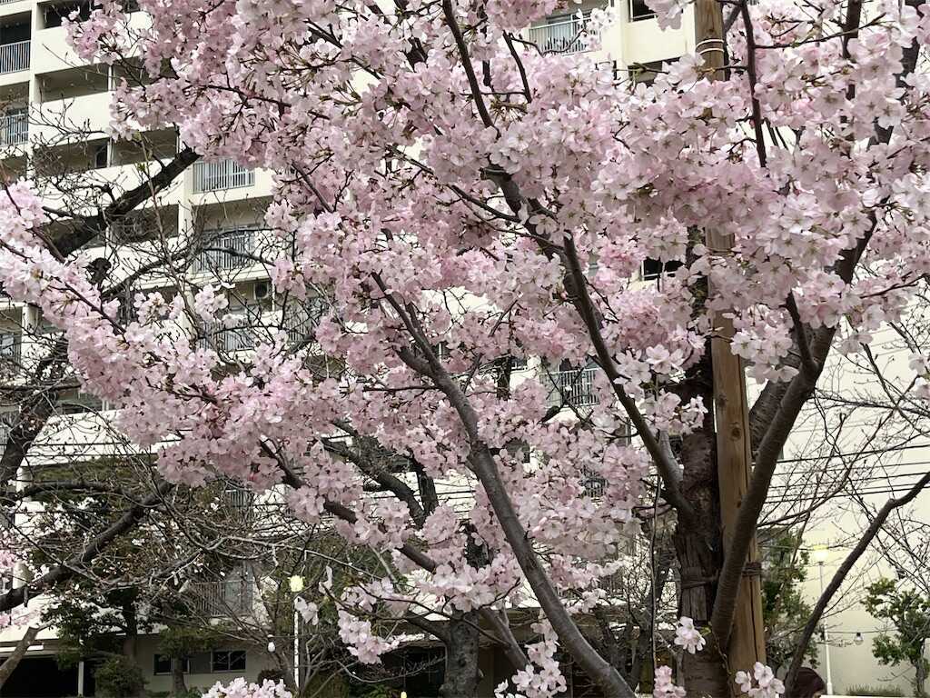 f:id:m3785com:20250327185328j:image