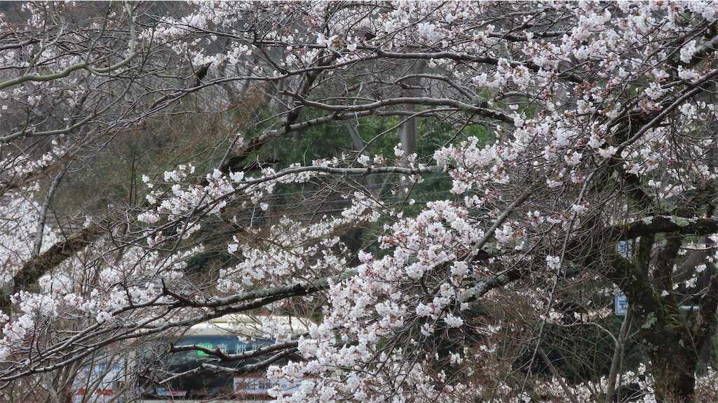 f:id:m3785com:20250411184051j:image