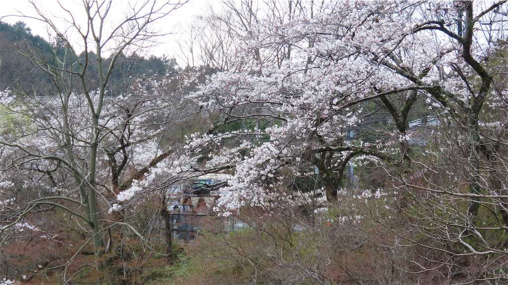 f:id:m3785com:20250411184107j:image