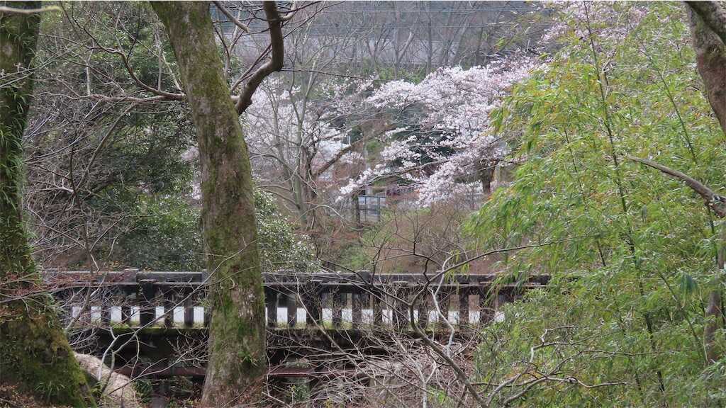 f:id:m3785com:20250411184112j:image