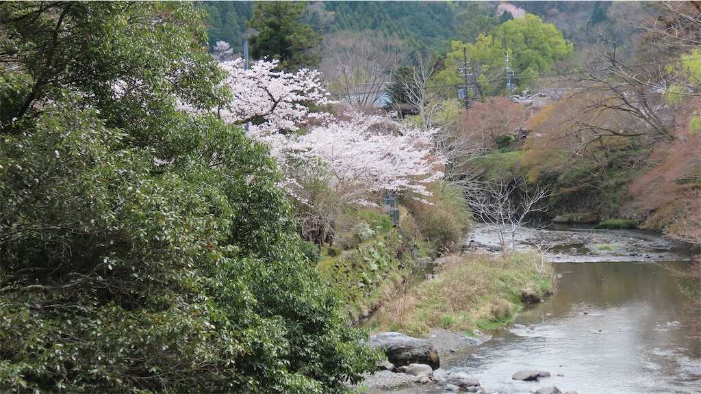 f:id:m3785com:20250411184145j:image