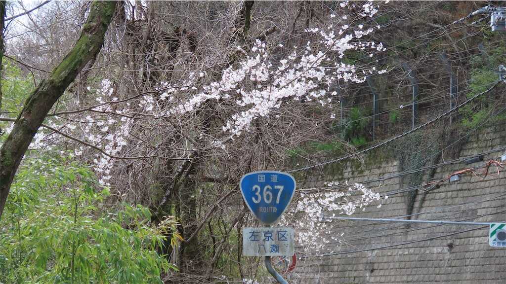 f:id:m3785com:20250411184149j:image