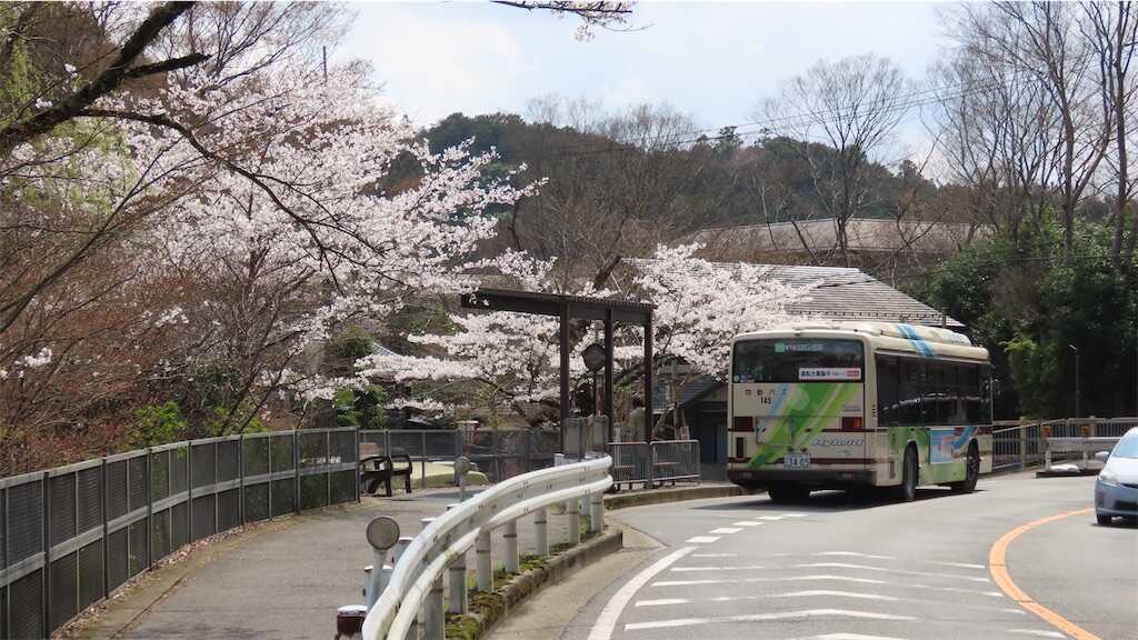 f:id:m3785com:20250411184730j:image