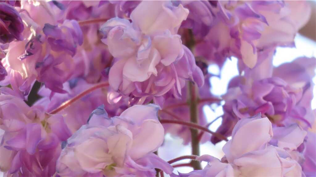 f:id:m3785com:20250427224348j:image