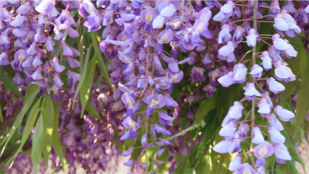 f:id:m3785com:20250427224357j:image