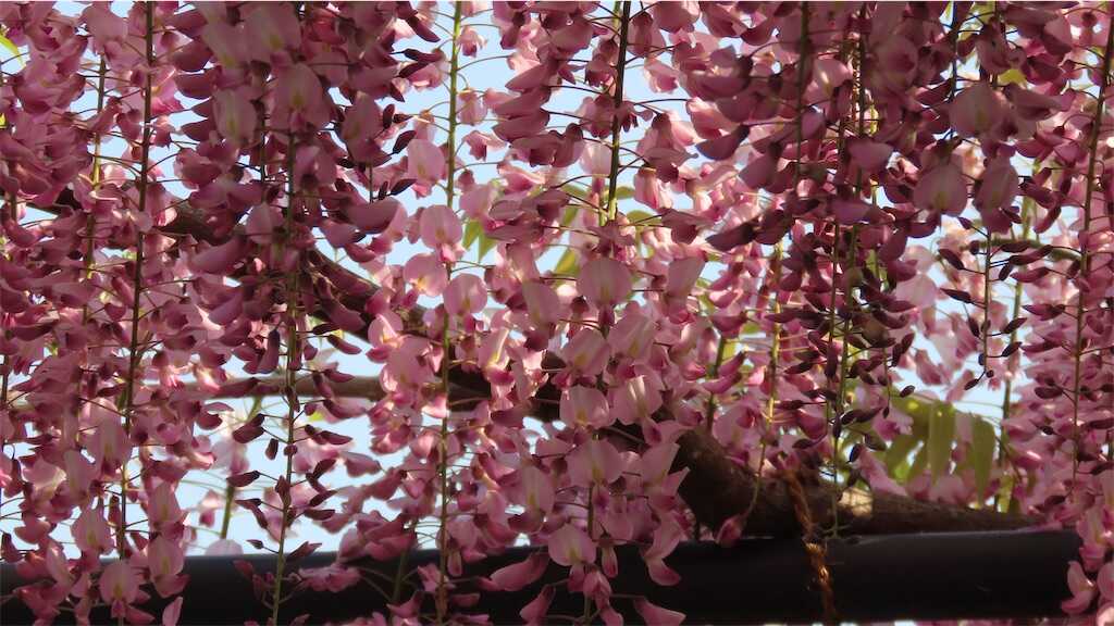 f:id:m3785com:20250427224405j:image