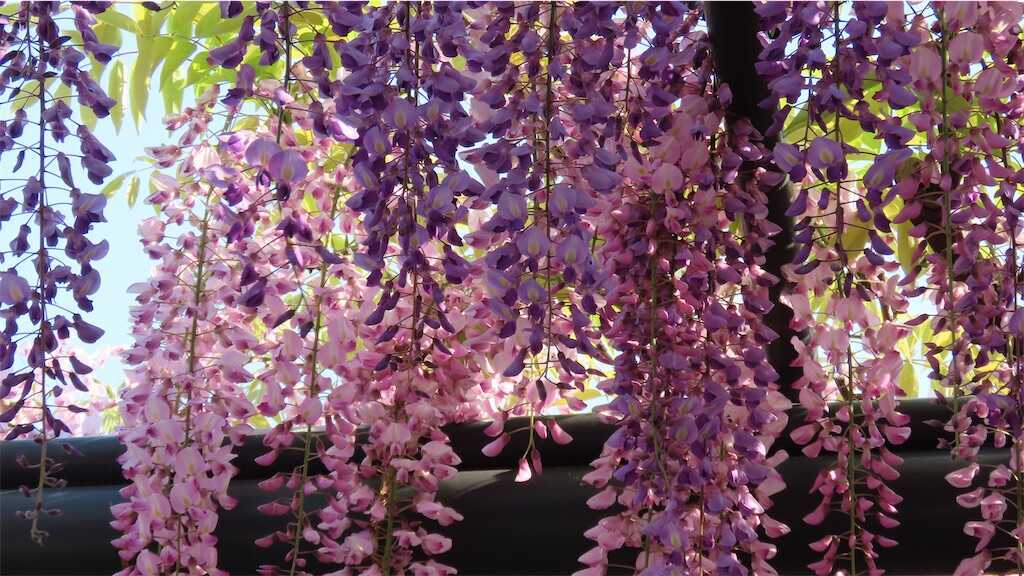 f:id:m3785com:20250427224411j:image