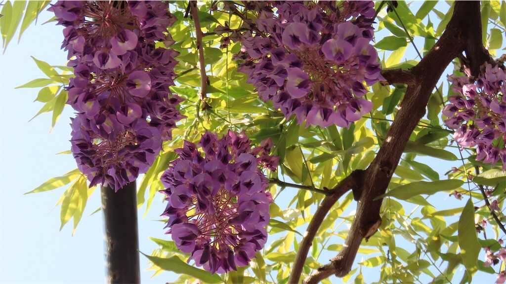 f:id:m3785com:20250427224418j:image