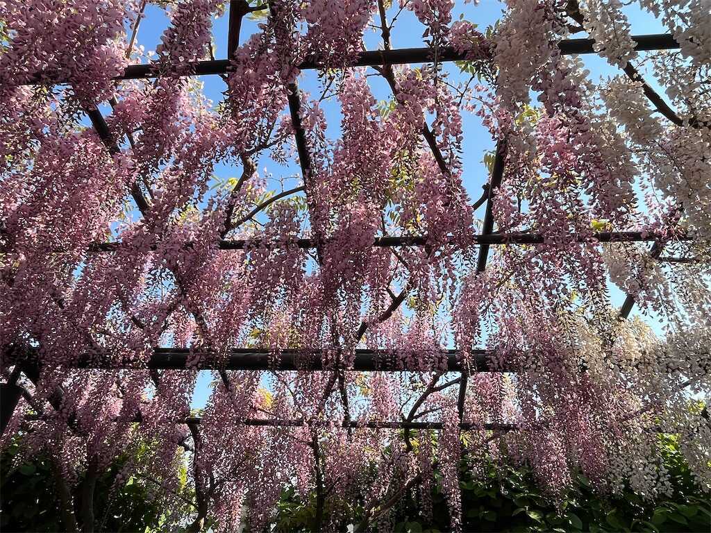 f:id:m3785com:20250427224434j:image