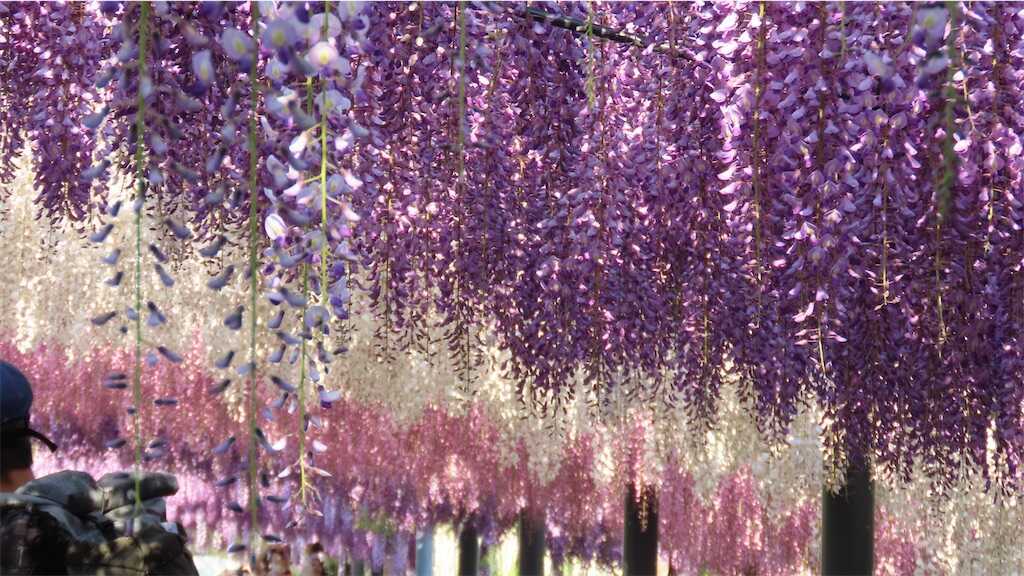 f:id:m3785com:20250427224452j:image
