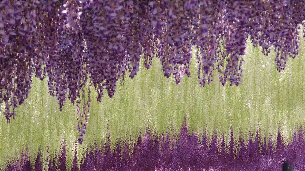 f:id:m3785com:20250427224457j:image
