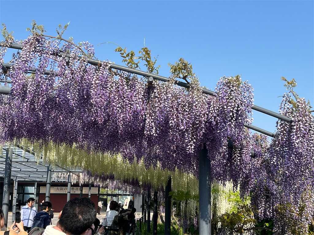 f:id:m3785com:20250427224514j:image