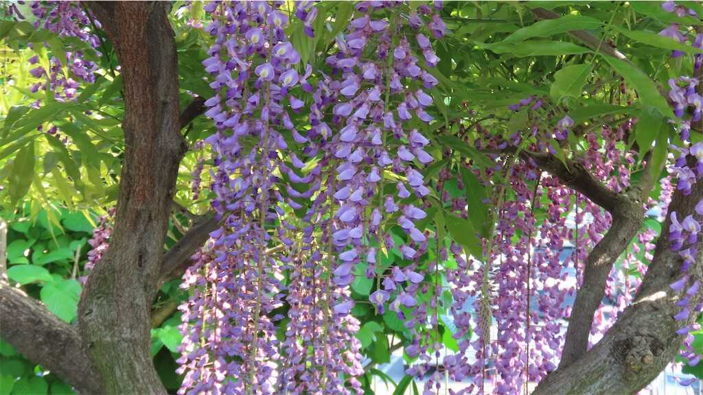 f:id:m3785com:20250427224540j:image