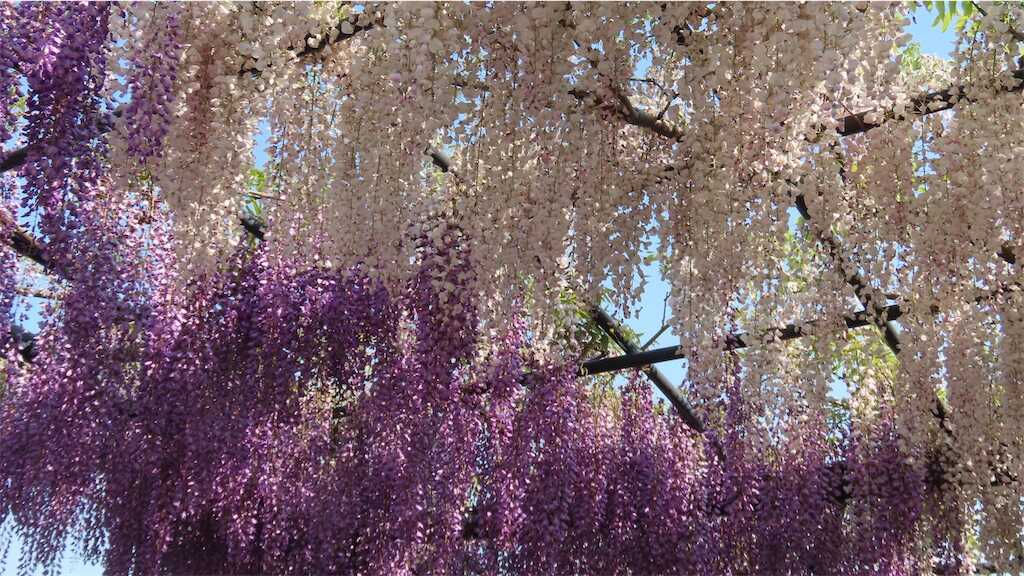 f:id:m3785com:20250427224548j:image
