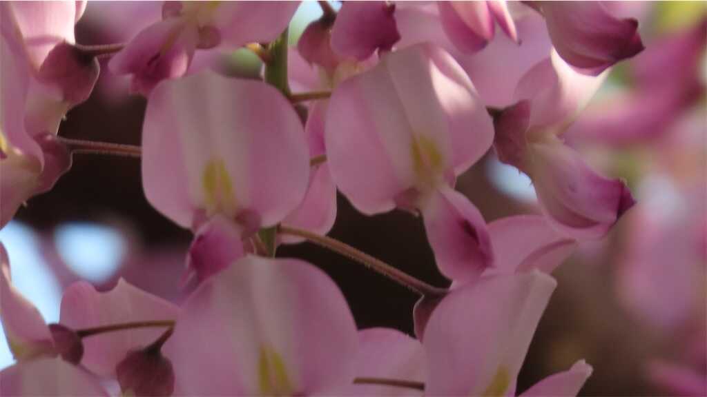 f:id:m3785com:20250427224622j:image