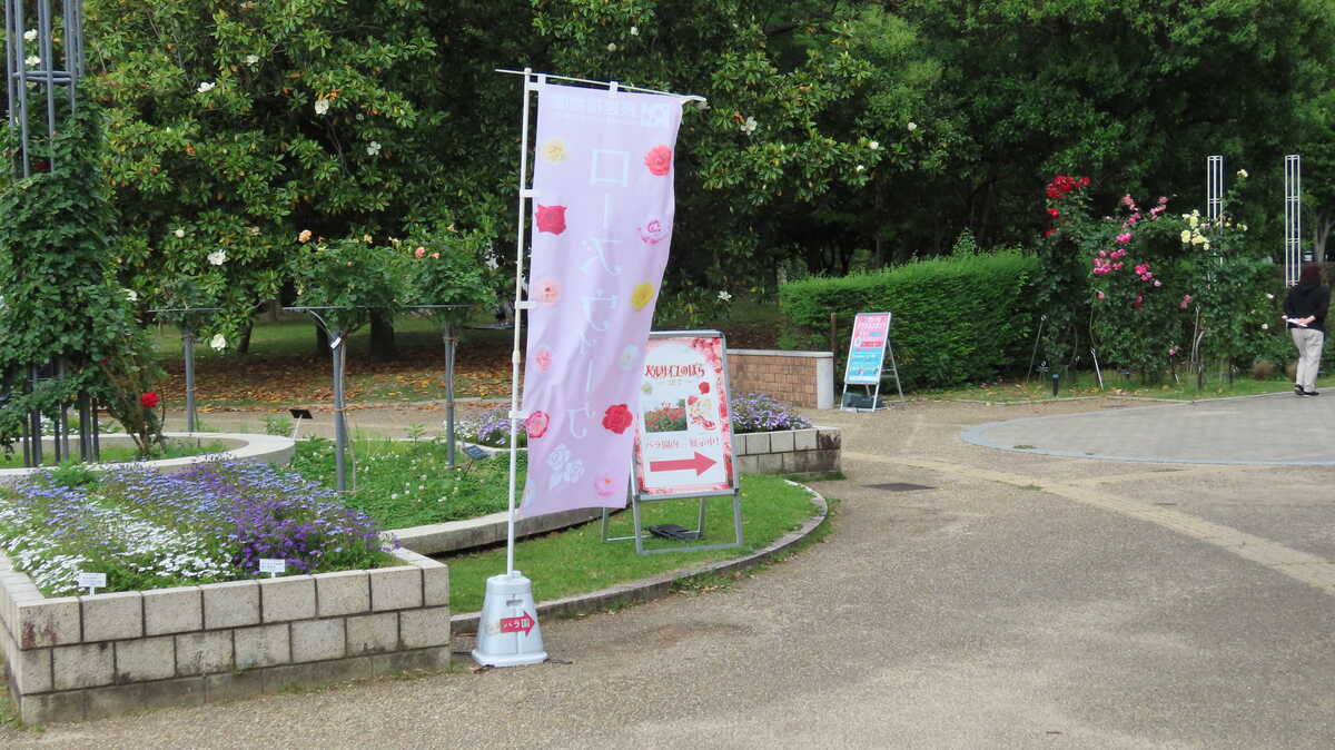 長居公園　植物園　バラ園　ローズウィーク