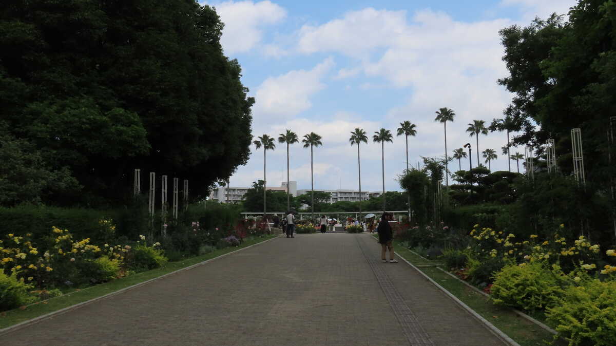 長居公園　植物園　バラ園
