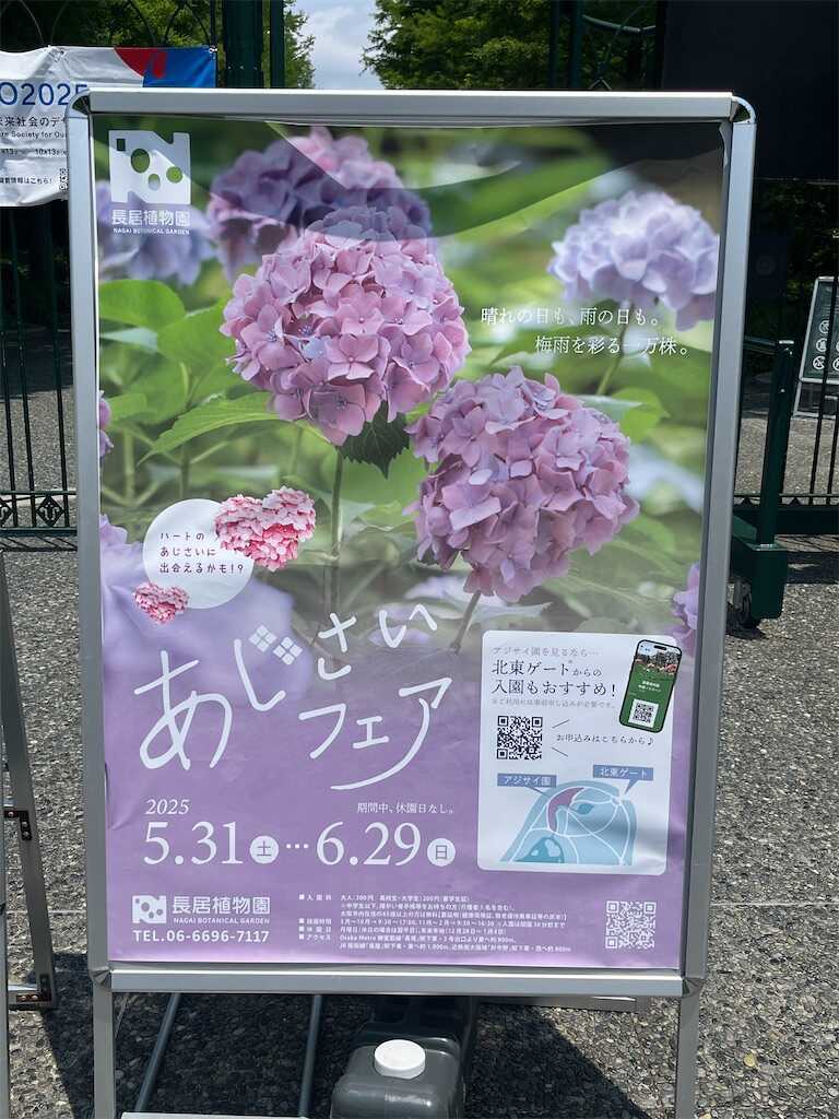 f:id:m3785com:20250601203214j:image