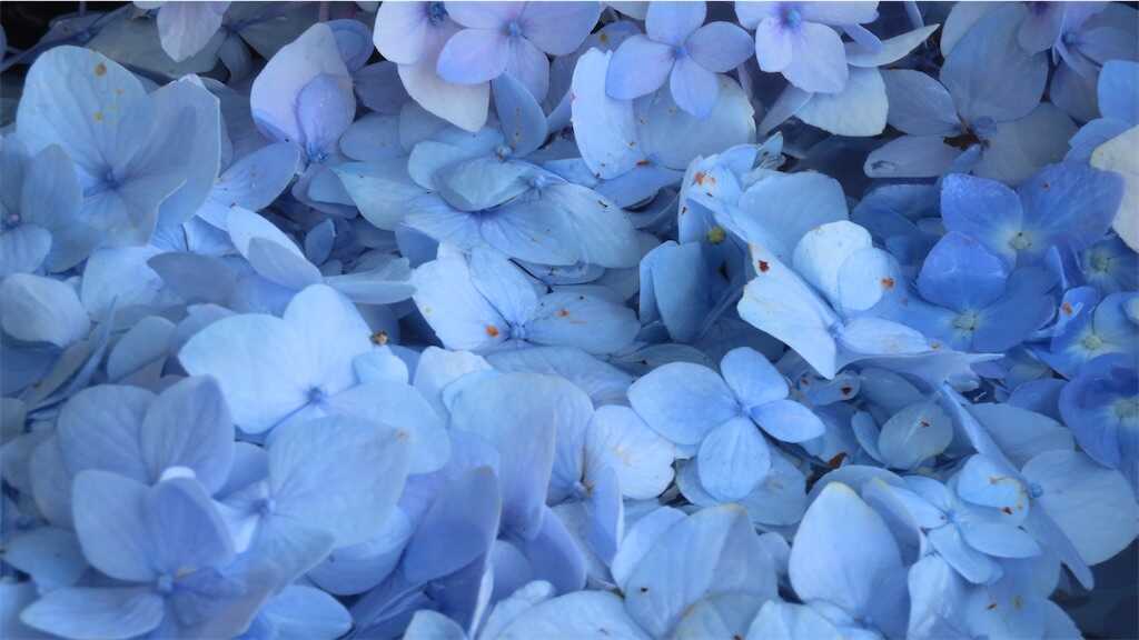 f:id:m3785com:20250602171438j:image