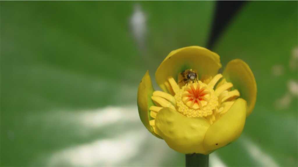 f:id:m3785com:20250602171457j:image