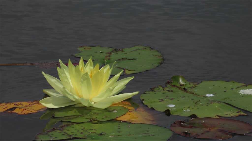 f:id:m3785com:20250602171517j:image