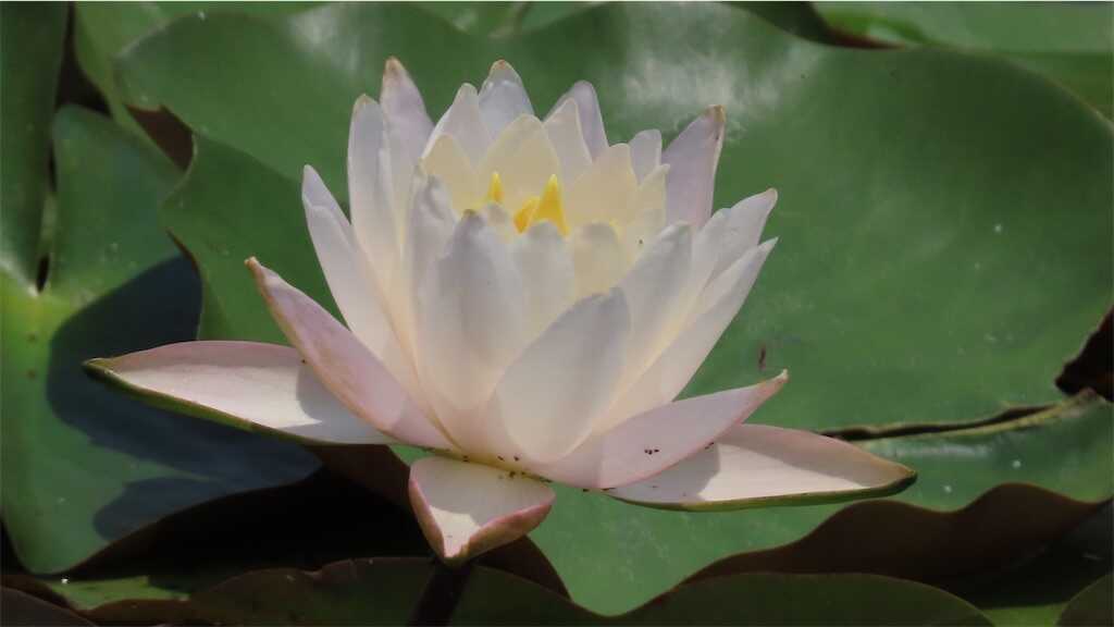 f:id:m3785com:20250602171520j:image