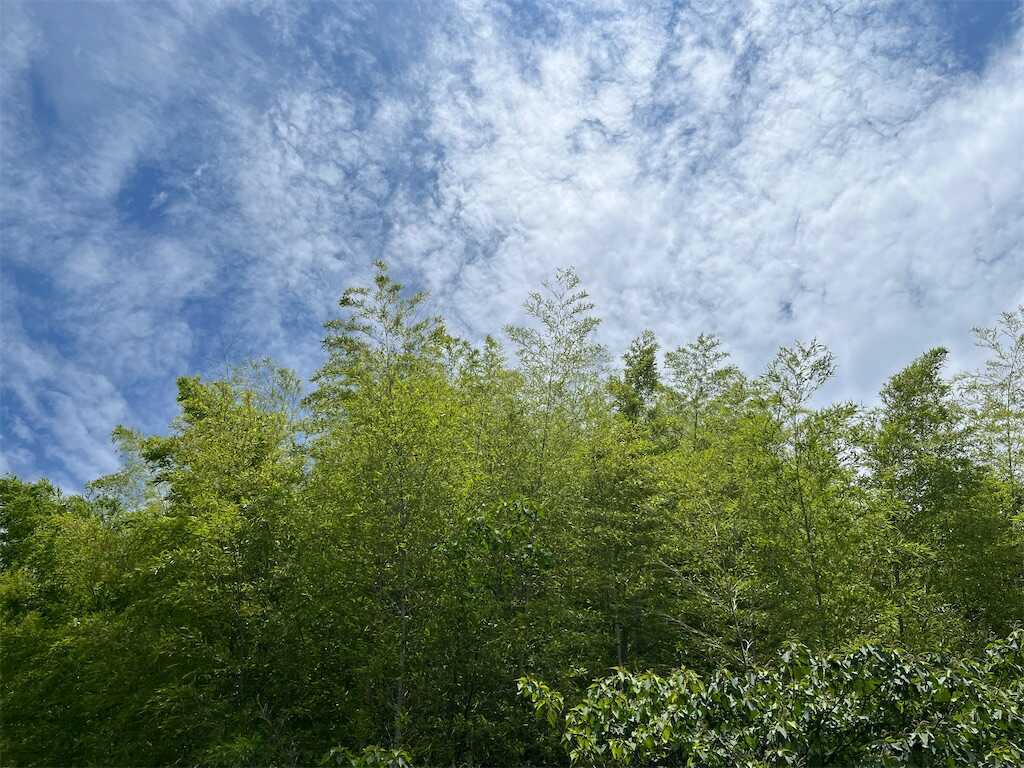 f:id:m3785com:20250607193145j:image