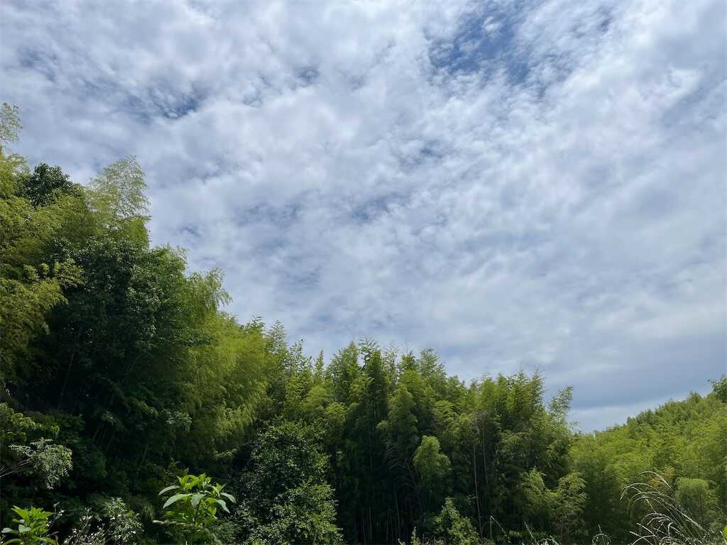 f:id:m3785com:20250607193149j:image