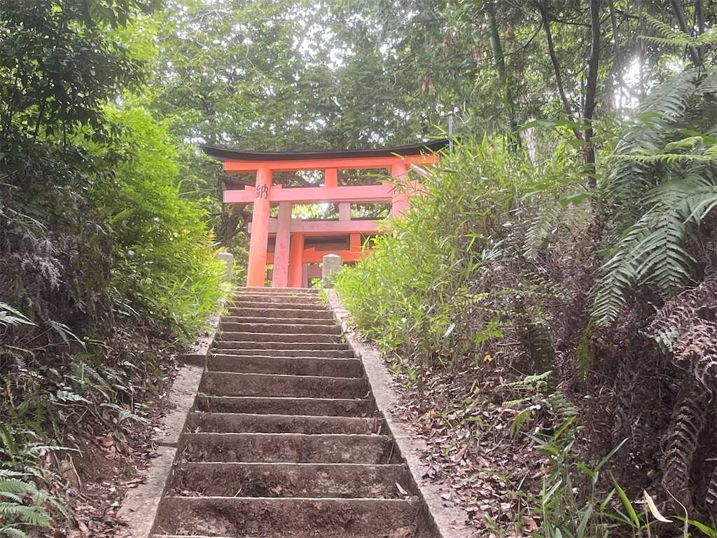 f:id:m3785com:20250608135320j:image